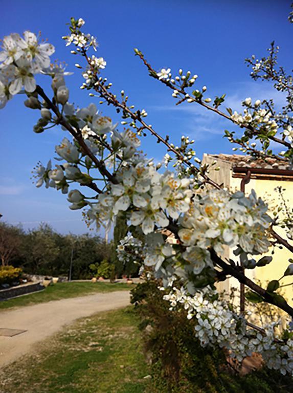 Agriturismo Frangivento Casa Giosafat Extérieur photo